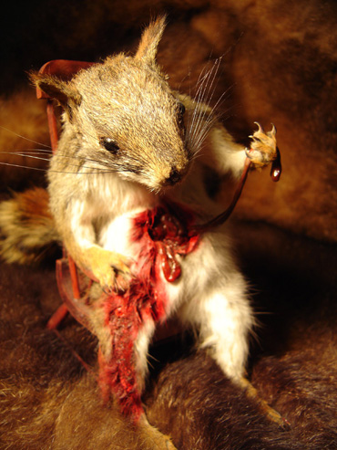 Illustration for article titled Interview: Minnesota Association Of Rogue Taxidermists
